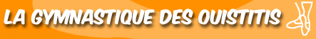 radioouistiti_gymnastique